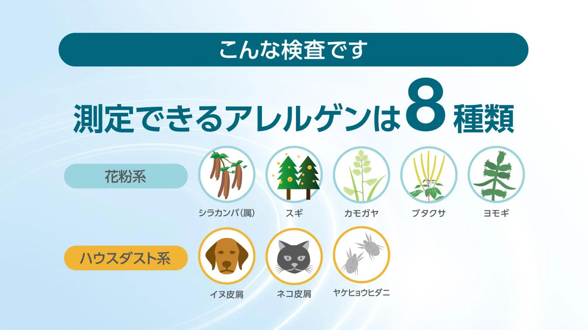 当院におけるアレルギー検査 当院におけるアレルギー検査
